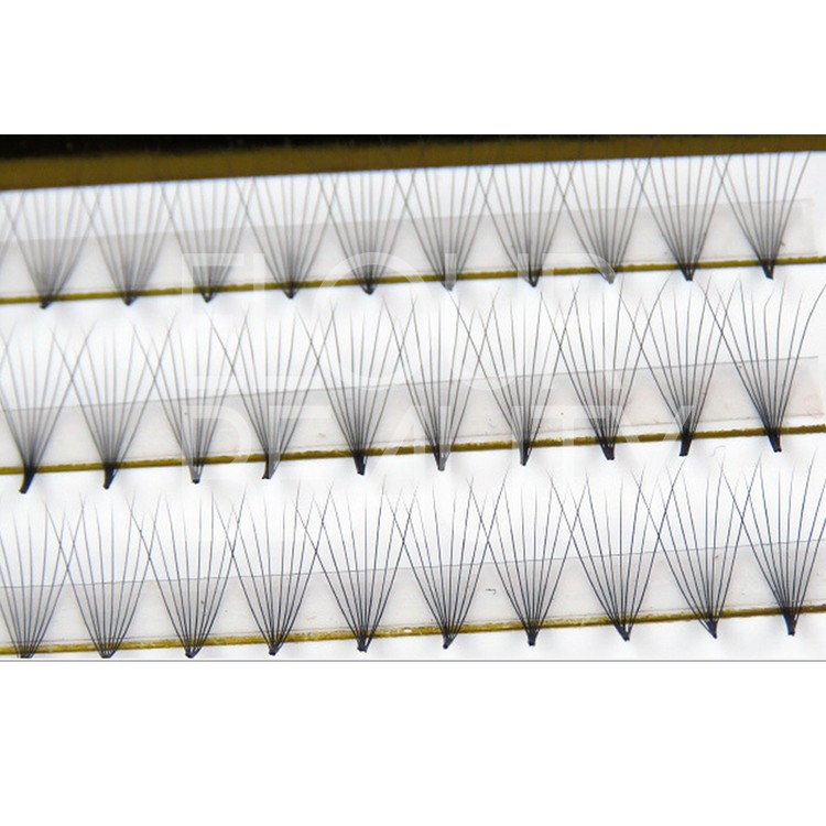 fanned lash extension factory China.jpg